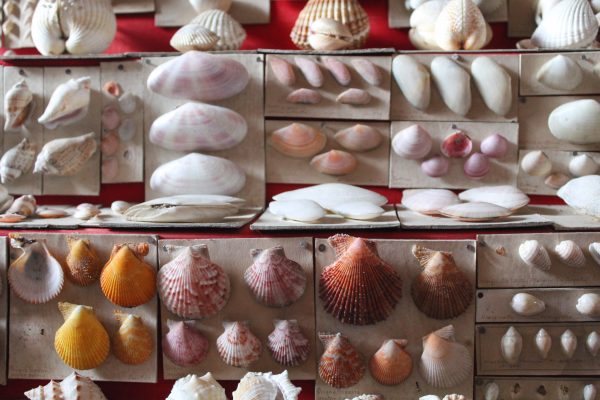 Itinéraires d’objets. De Tonnerre à Montbard