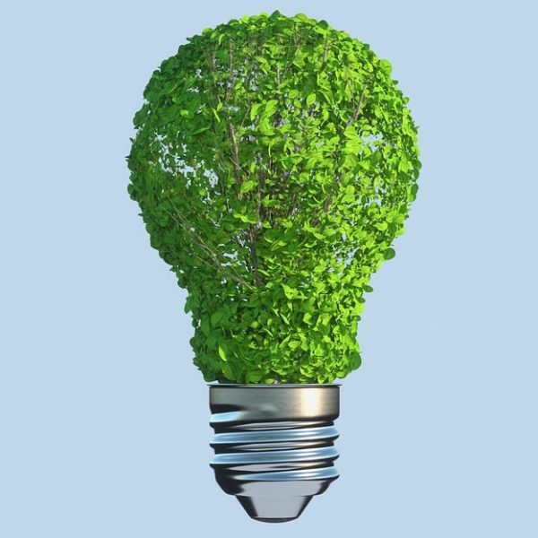 Durabilité environnementale et transition écologique