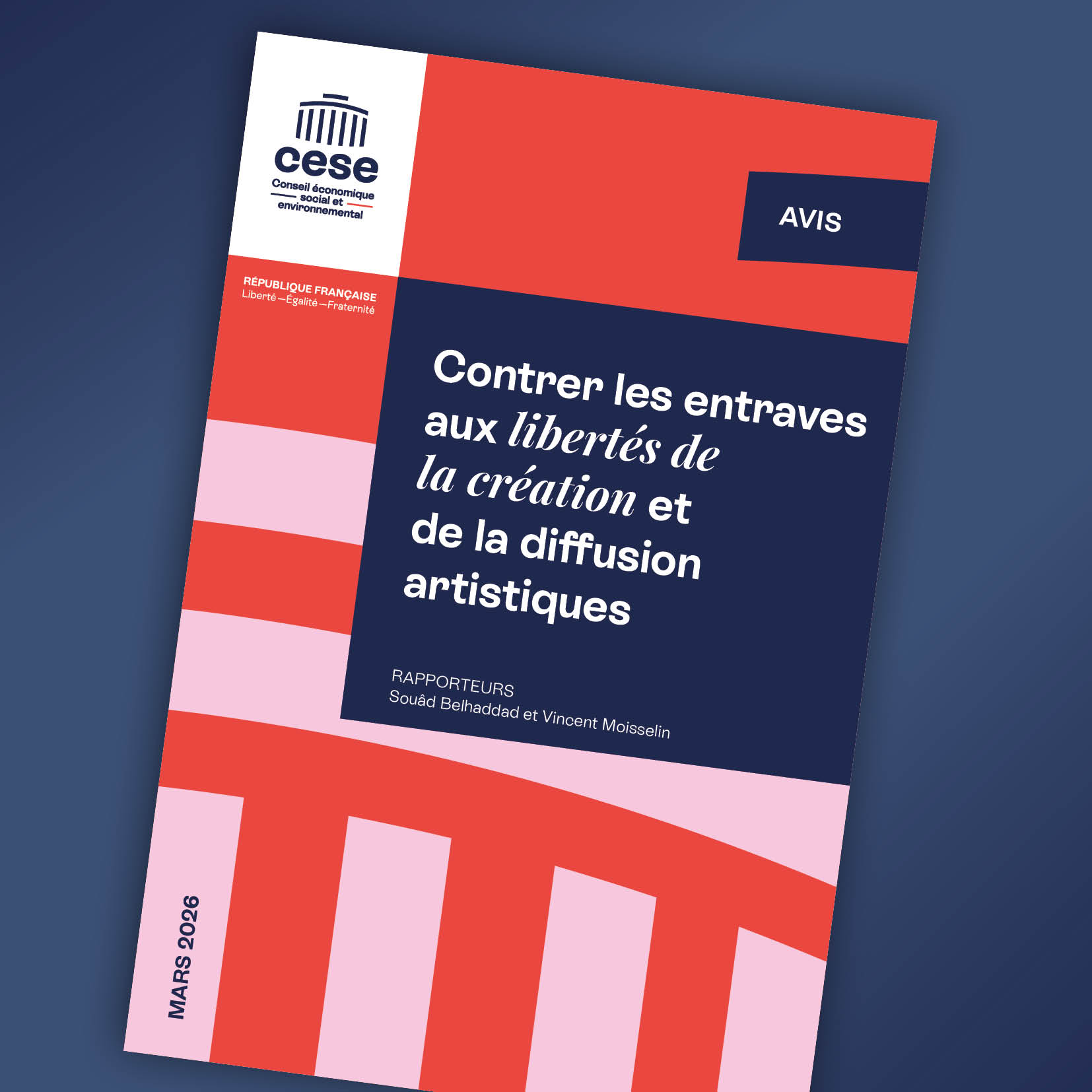 rapport CESE diffusion artistique