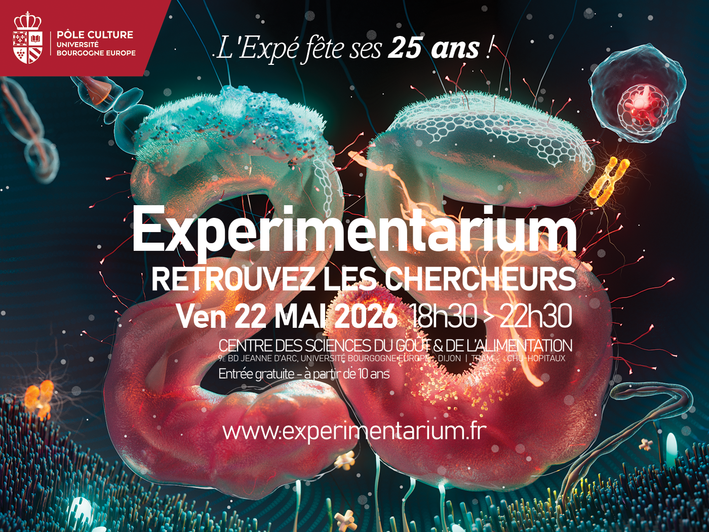 visuel des 25 ans de l'experimentarium